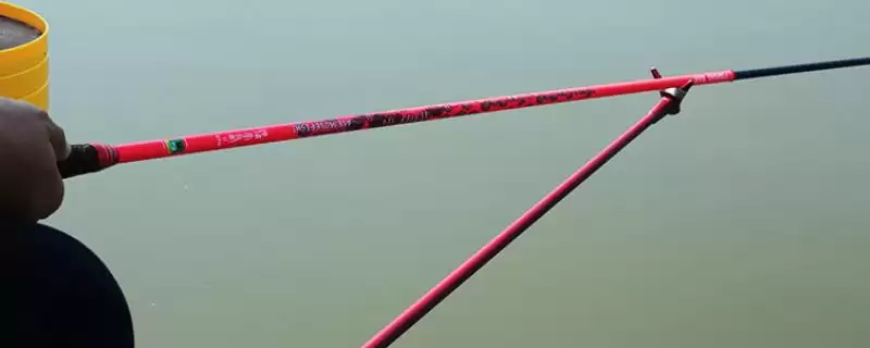 小丑鱼2代鱼竿介绍有哪些？小丑鱼2代鱼竿知识与养鱼关键细节分享？-会东网