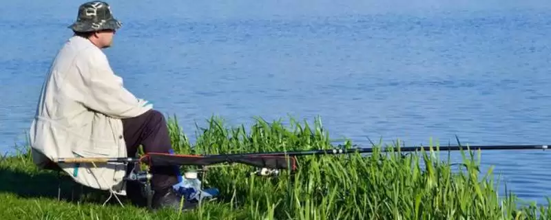 鱼竿上面字母H表示啥?鱼竿参数含义与养鱼重点?-会东网