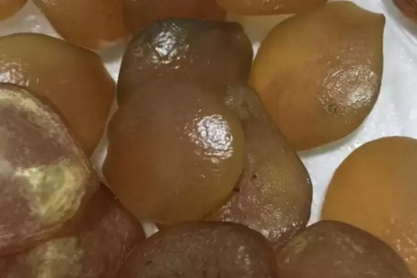 什么是青鱼石？青鱼石知识科普与养鱼关键细节？插图1