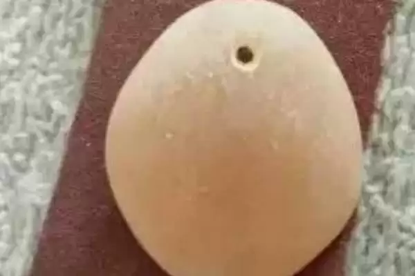 什么是青鱼石？青鱼石知识科普与养鱼关键细节？插图2