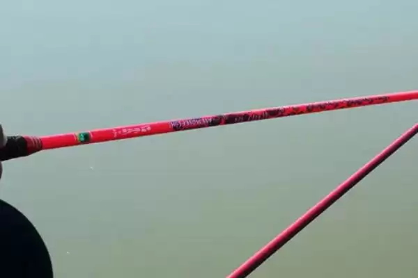 小丑鱼2代鱼竿介绍有哪些？小丑鱼2代鱼竿知识与养鱼关键细节分享？插图3