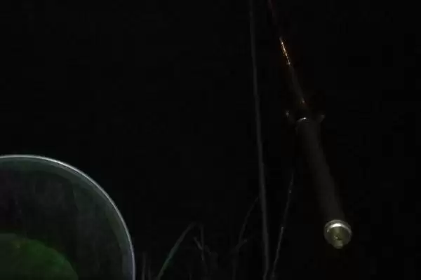 晚上蚯蚓钓鱼没鱼吃是什么原因？夜钓蚯蚓无鱼原因与养鱼要点？插图2