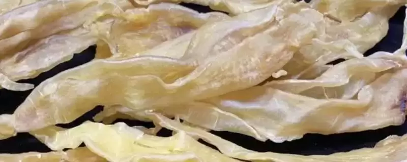 鱼胶都是什么鱼做的？鱼胶原料知识与养鱼方法要点？-会东网