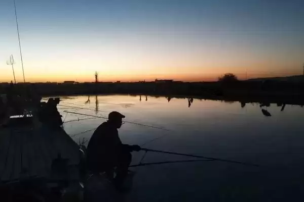 晚上蚯蚓钓鱼没鱼吃是什么原因？夜钓蚯蚓无鱼原因与养鱼要点？插图3
