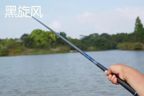 中逵鲤鱼竿款式推荐有哪些？鲤鱼竿款式与养鱼方法要点？插图4
