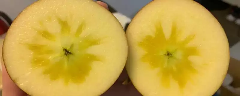 冰糖心苹果是特殊的品种吗，并非特殊的品种-会东网
