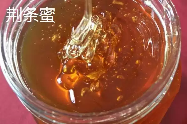 荆条蜜和槐花蜜的比较 ,荆条蜜和槐花蜜哪个更好呢插图1