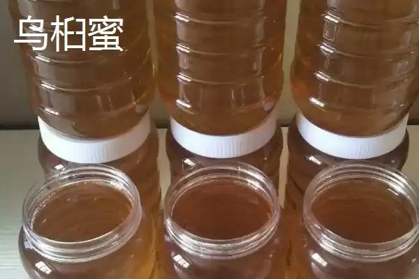 乌桕蜜和荔枝蜜哪个好，后者的色泽和口感都更优插图1