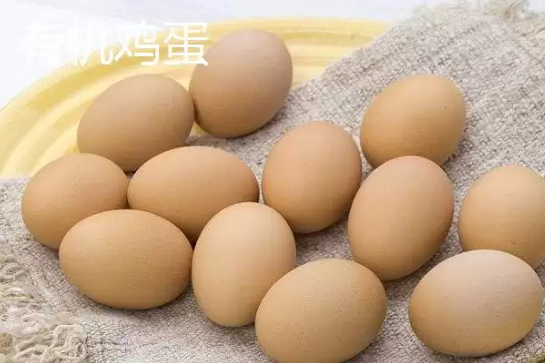 判断鸡蛋是否变质的方法和重点？养鸡要做好哪些蛋类品质把控？插图4