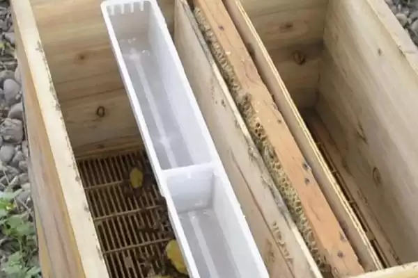 如何使用蜜蜂饲喂器，装好干糖后放在箱体与副盖之间即可插图3