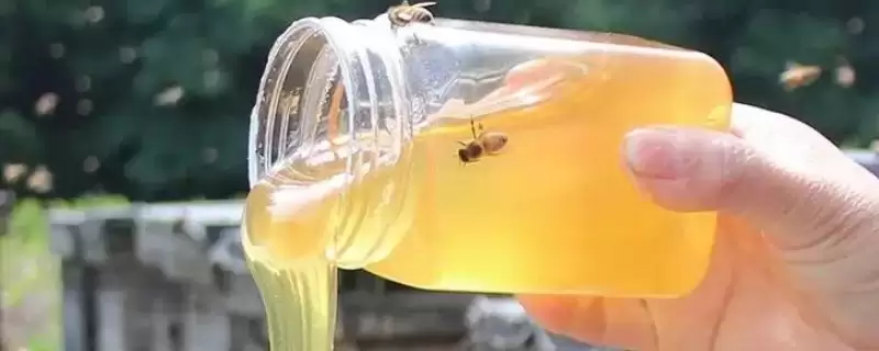 荆条蜜结晶粗吗，结晶后呈油脂状-会东网