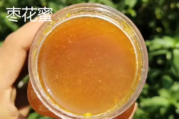 槐花蜜和枣花蜜对比，前者有槐花香味、后者有枣花香味插图2