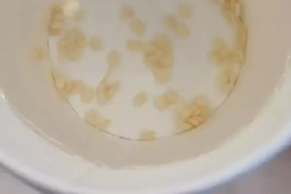 辣椒种子的浸泡方法 ,辣椒种子用多少度清水泡多久合适？插图3