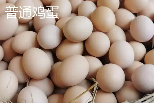 判断鸡蛋是否变质的方法和重点？养鸡要做好哪些蛋类品质把控？插图5
