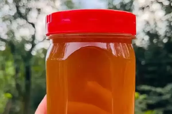 洋槐蜜简介，是蜜蜂采集洋槐花蜜酿成的插图3
