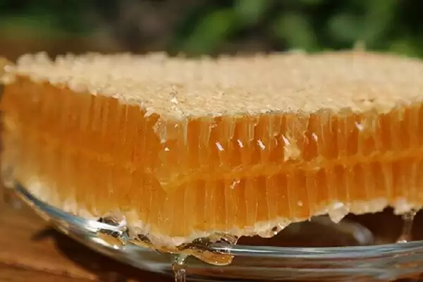 怎么吃蜂巢蜜，可直接放在嘴中咀嚼插图2