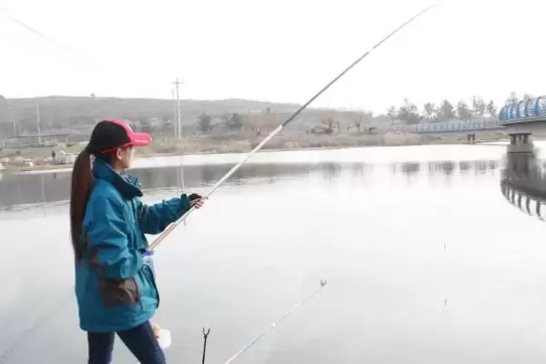 假红虫能不能用来钓鱼呢,假红虫能钓鱼但是相比效果不是太好插图2