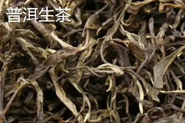 普洱生茶和熟茶的差异对比：颜色和口感不同的独特风味插图1