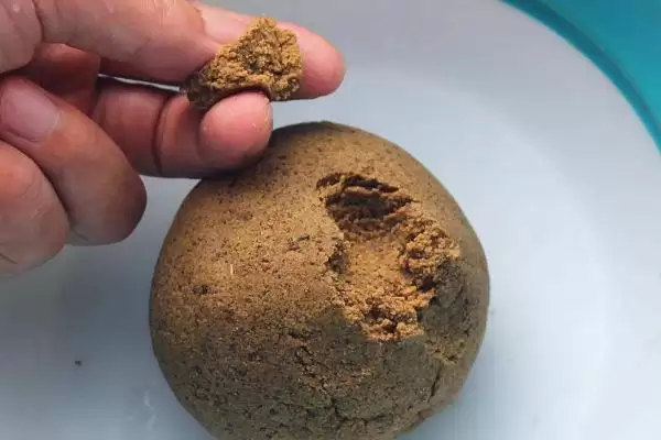 牛尾巴鱼的故乡寻踪:黄河流域和东北江河的分布秘密插图5 牛尾巴鱼的故乡寻踪:黄河流域和东北江河的分布秘密插图5