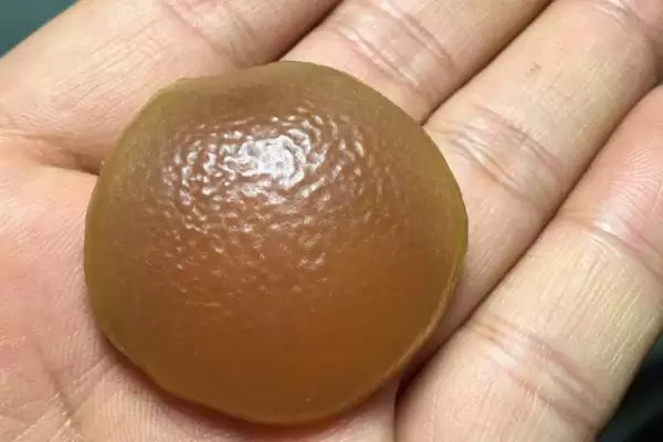 青鱼石位置探寻：在青鱼牙齿上方枕骨上的发现插图3