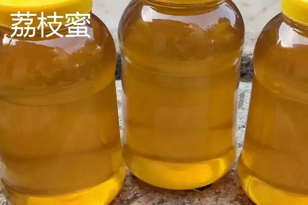 乌桕蜜和荔枝蜜哪个好，后者的色泽和口感都更优插图2
