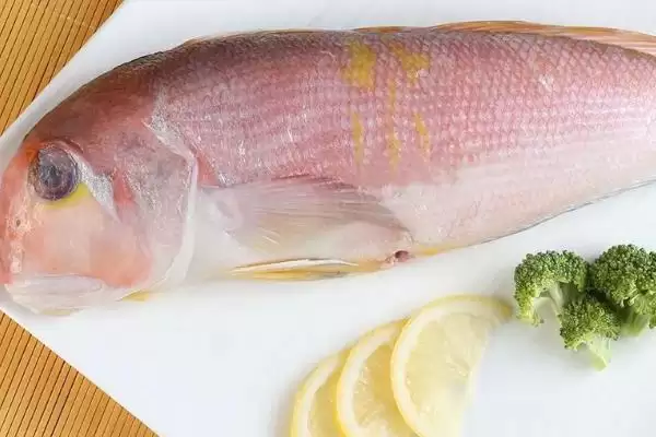马头鱼是怎样的鱼类 ,马头鱼是最古老脊椎动物吗插图1