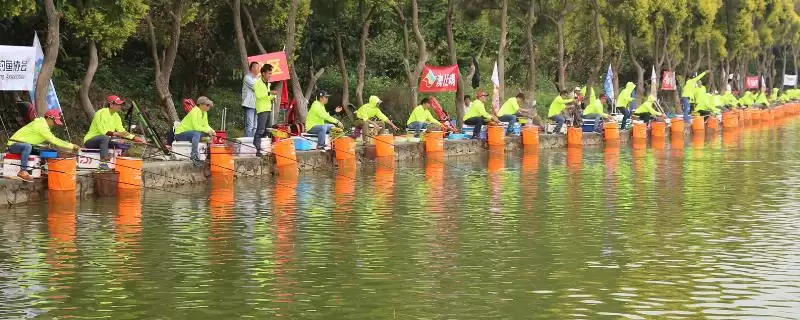 竞技竿和台钓竿的区别 ,竞技竿与台钓竿在用途和特点上有何差异？-会东网