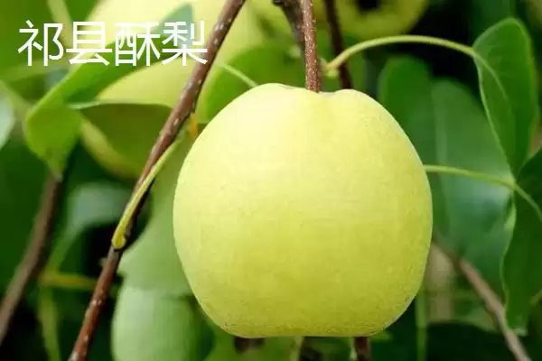 山西晋中市的特产，是国家级文化生态保护实验区插图2