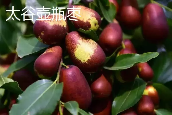 山西晋中市的特产，是国家级文化生态保护实验区插图6