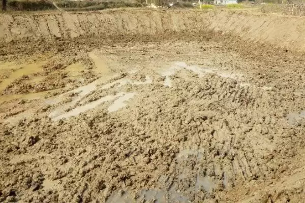 挖鱼塘的土地学问：除基本农田外的审批与选择插图1