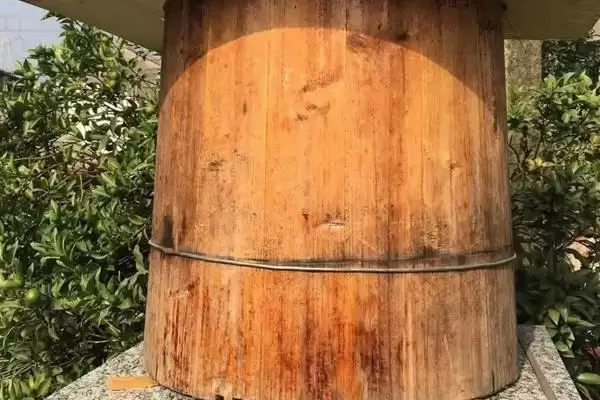 诱蜂桶放在什么位置合适，要满足蜂群、蜜源和筑巢条件插图1