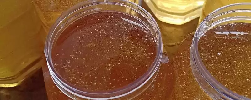 乌桕蜜和荔枝蜜哪个好，后者的色泽和口感都更优-会东网