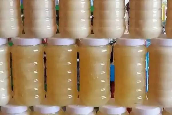 苜蓿蜜是什么蜜，采集紫花苜蓿花蜜酿制成的插图2