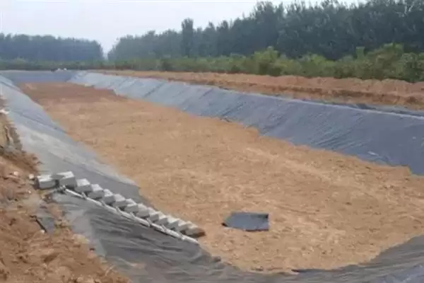 农村鱼塘养鱼技术要点：选在水源附近的关键因素插图5