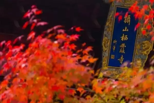 栖霞山红叶观赏最佳时间：11月中旬至12月中旬的美丽时刻插图3