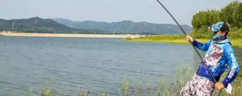 轻量大物竿推荐榜单：7款值得一试的优质鱼竿-会东网