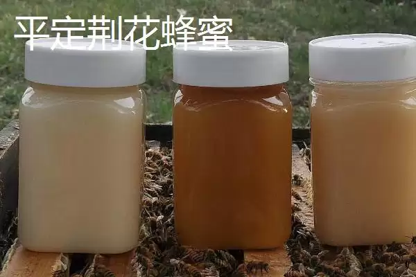 山西阳泉的特产，连翘茶是当地的特色茶种插图7