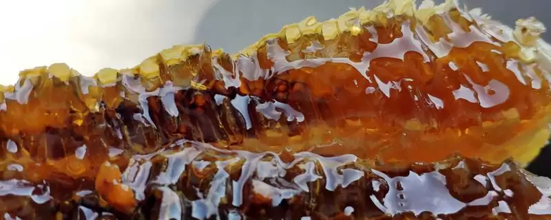 变质的蜂蜜是什么样，蜂蜜中会出现大量气泡并且质地会变稀-会东网