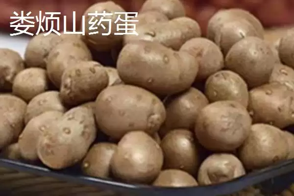 山西省娄烦县的特产，莜面栲栳栳为当地的传统小吃插图2