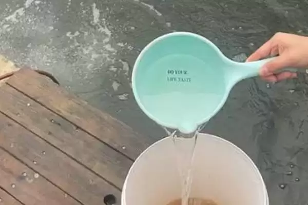 使用em菌的好处？了解使用em菌的好处要知晓哪些关键的作用原理？插图4