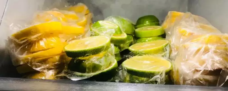 柠檬防氧化小妙招:冰箱冷藏的保鲜秘籍插图 柠檬防氧化小妙招:冰箱冷藏的保鲜秘籍插图