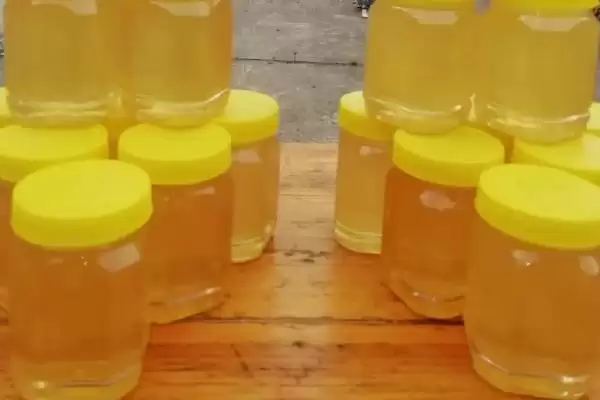 天然荆条蜜的价格，一斤通常超过40元插图1