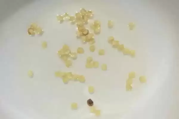 辣椒种子的浸泡方法 ,辣椒种子用多少度清水泡多久合适？插图2