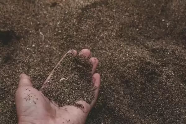 甜瓜适合在什么季节种植？确定甜瓜种植季节要考虑哪些气候和生长特性？插图2