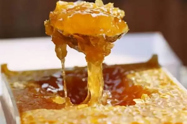 怎么吃蜂巢蜜，可直接放在嘴中咀嚼插图1