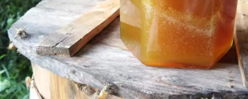 土蜂蜜由哪种蜜蜂生产，一般是指中蜂-会东网
