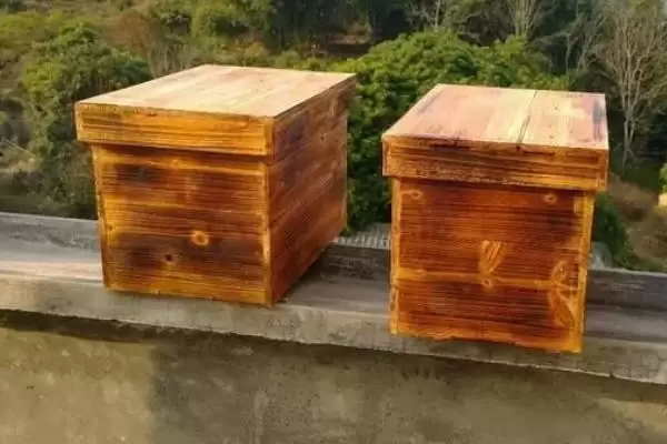 大蜂箱和小蜂箱哪种好，需根据蜂群的实际情况来选择插图1