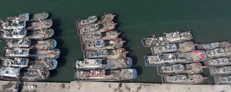 禁渔期的相关介绍 ,禁渔期具体指的是什么呢-会东网