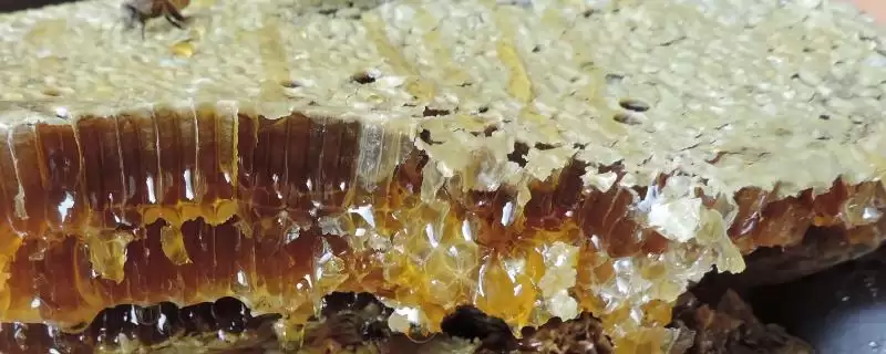 纯土蜂蜜的价格，实际售价因地区而异-会东网