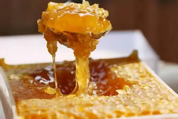 蜂巢蜜的食用方法，直接放在嘴中咀嚼即可插图2